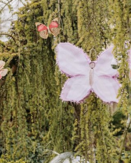 Pinhata Borboleta