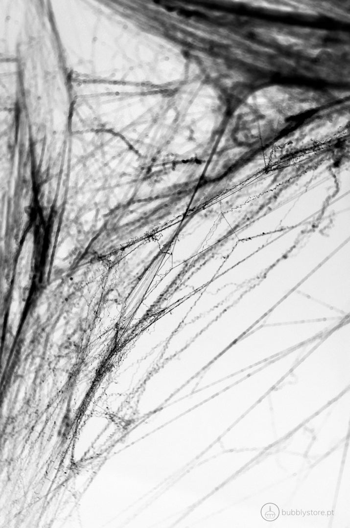 Telaraña Decotaviva Negra