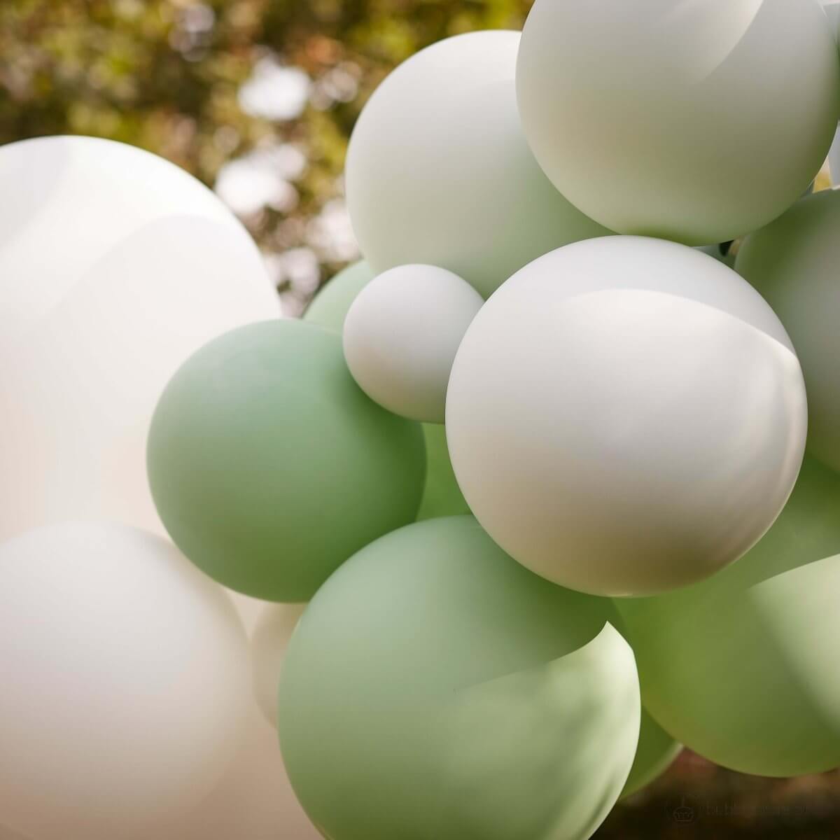 Arco de Balões Pastel - Bubbly