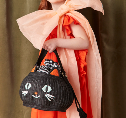 Cesta Gato