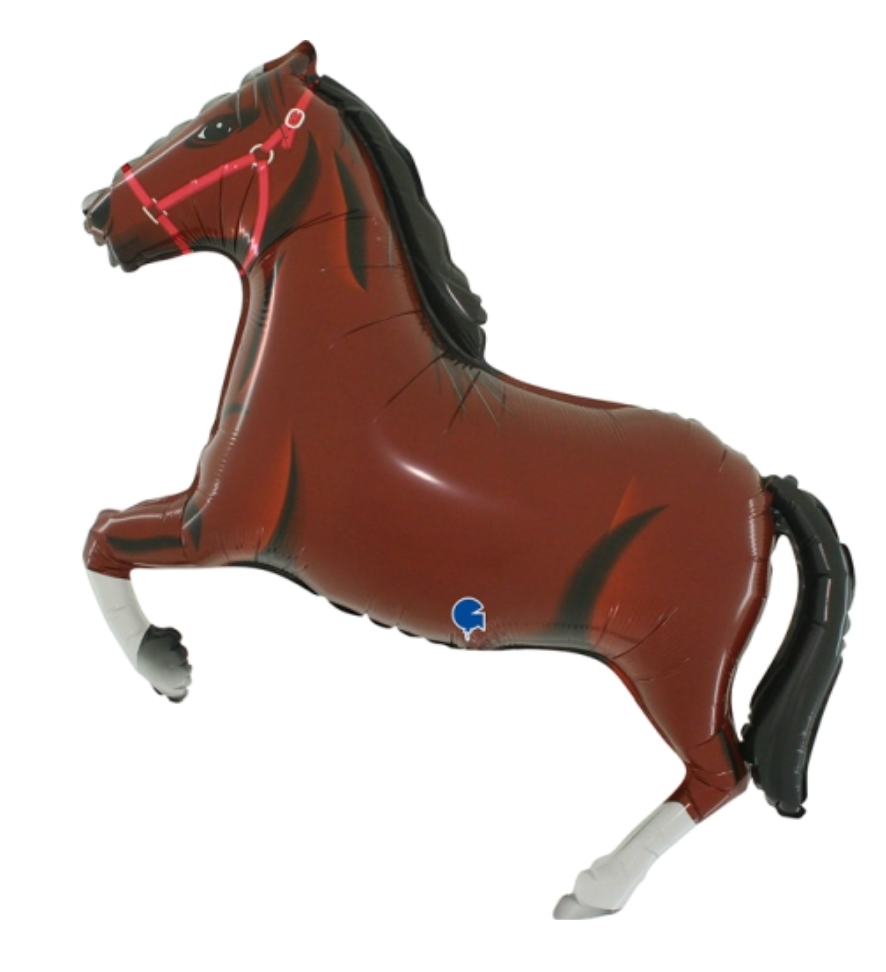 Balão Cavalo