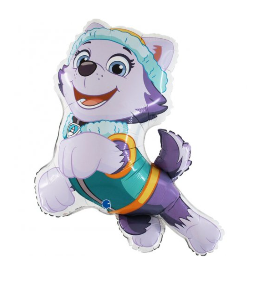 Balão Patrulha Pata - Everest