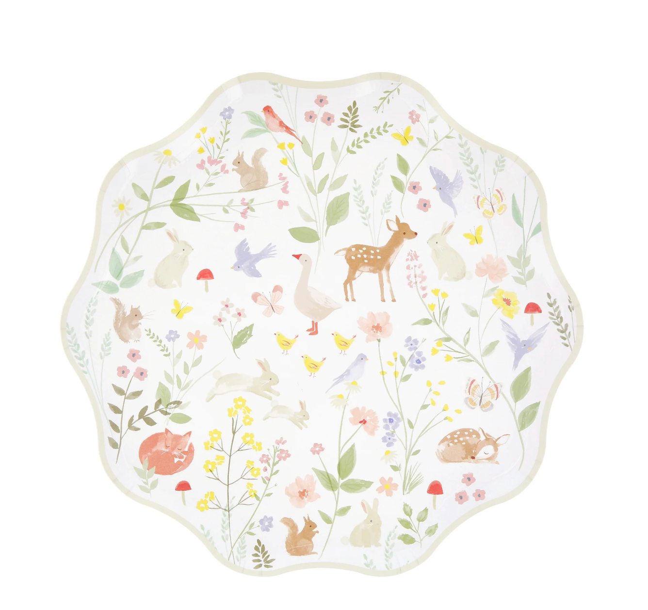 Pratos Pequenos Animais