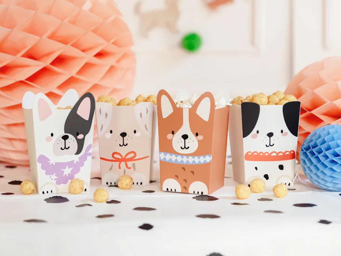 Caixas Pipocas Cães