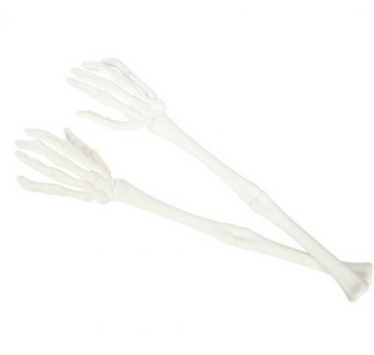 Braços Esqueleto Brancos