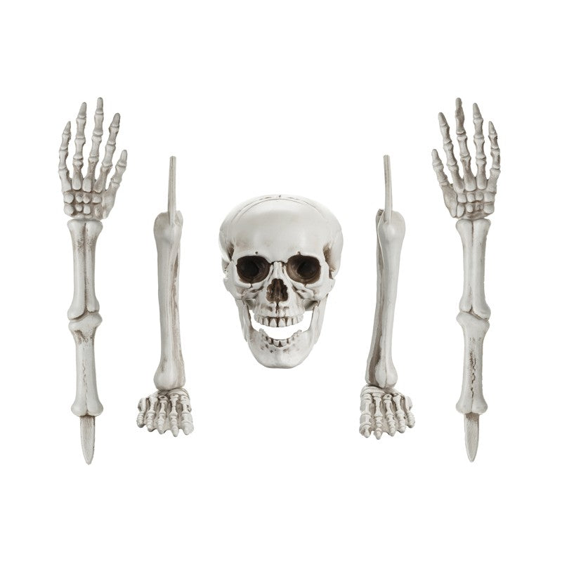 Esqueleto Decorativo em Partes