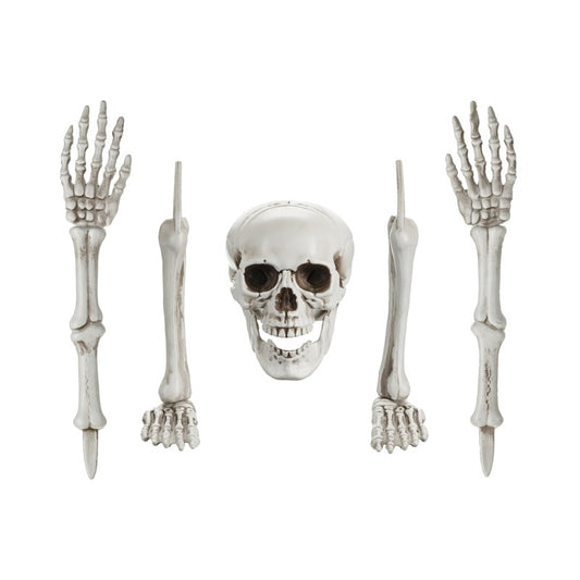 Esqueleto Decorativo em Partes