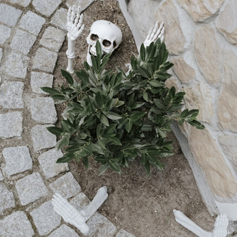 Esqueleto Decorativo em Partes, decoração de Halloween