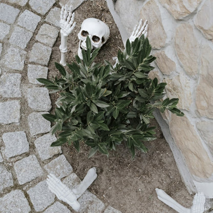 Esqueleto Decorativo em Partes, decoração de Halloween