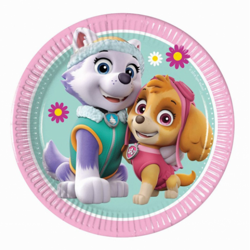 Paw Patrol Dishes