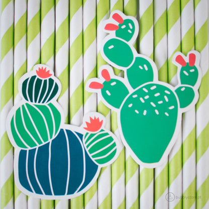 Pajitas de cactus