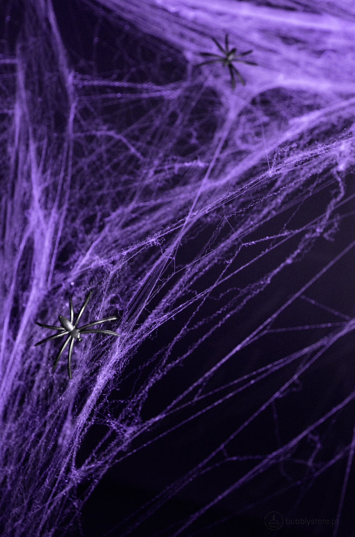 Purple Decorative Web